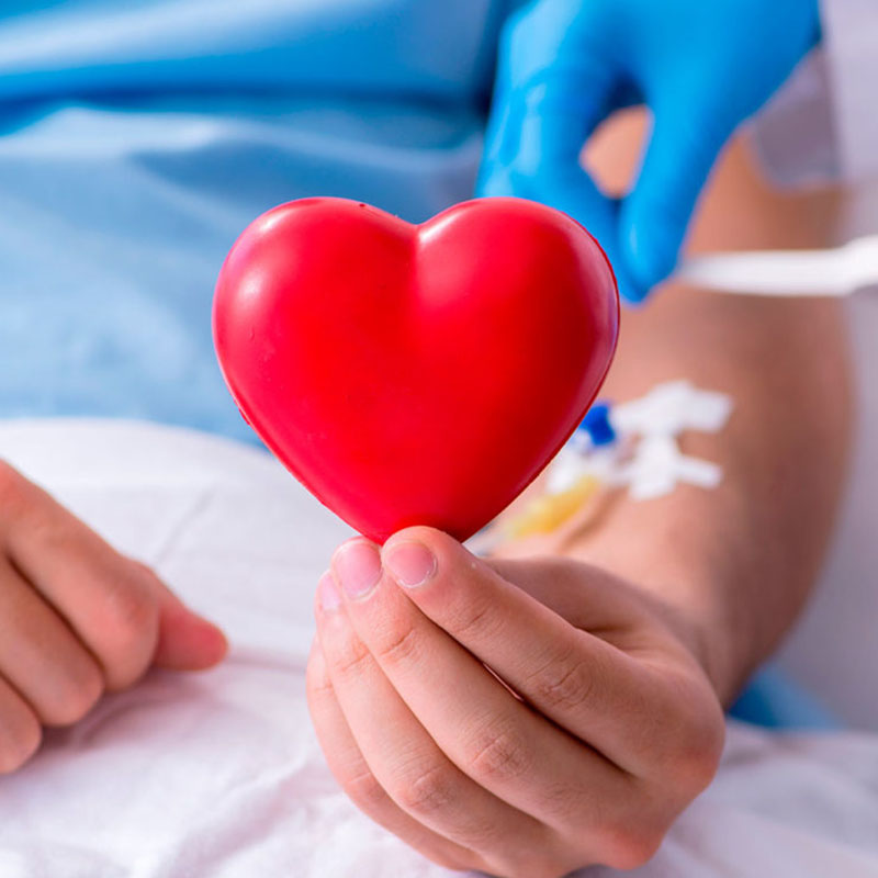 donar medula osea